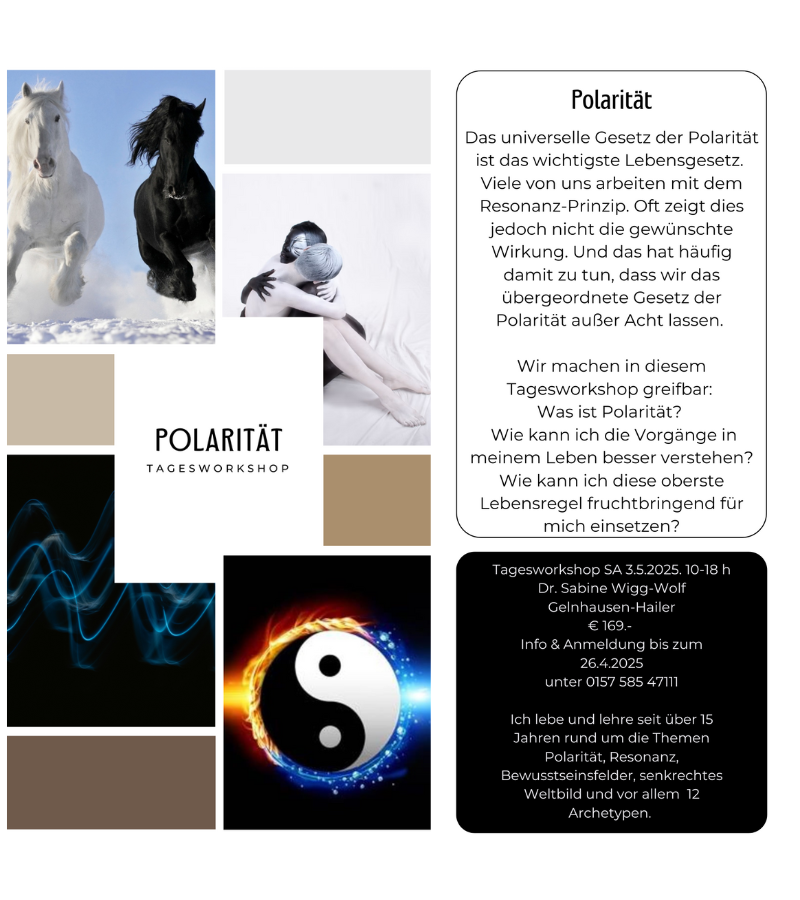 flyer polaritaet